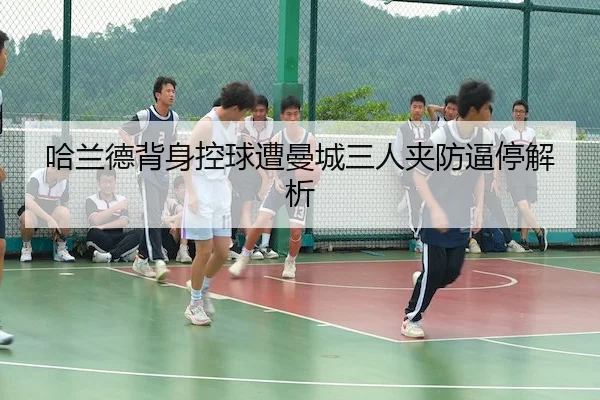 ha-lan-de-bei-shen-kong-qiu-zao-man-cheng-san-ren-jia-fang-bi-ting-jie-xi-2-703.jpg